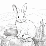 Realistic White Rabbit in Nature Coloring Pages 1