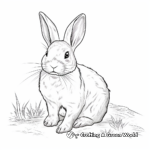Realistic Wild Rabbit Coloring Pages 1