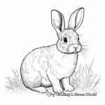 Realistic Wild Rabbit Coloring Pages 3