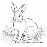 Realistic Wild Rabbit Coloring Pages 4
