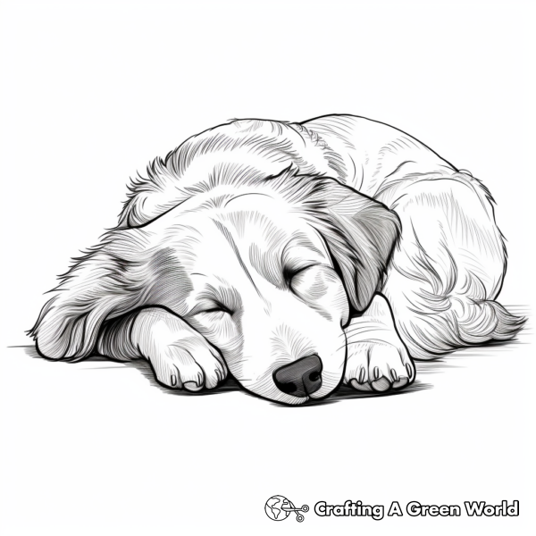 Australian Shepherd Coloring Pages - Free &amp; Printable!