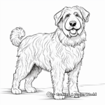 Sheepdog and Shepherd Coloring Pages 2