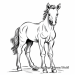 Simple Baby Horse Coloring Pages for Children 1