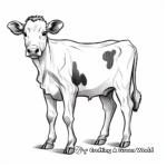 Simple Illustration Dairy Cow Coloring Pages 2