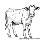 Simple Illustration Dairy Cow Coloring Pages 3
