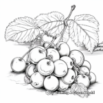 Tantalizing Cherries Coloring Sheets for Kids 2