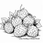 Tasty Raspberry Coloring Sheets 4