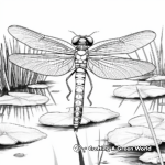 Vibrant Emperor Dragonfly Coloring Pages 3