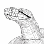 Abstract Anaconda Coloring Pages for Artists 3