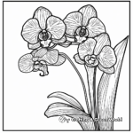 Abstract Orchid Coloring Pages for Artists 1
