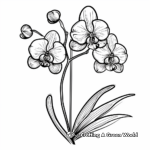 Abstract Orchid Coloring Pages for Artists 2