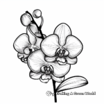 Abstract Orchid Coloring Pages for Artists 3