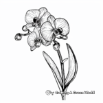 Abstract Orchid Coloring Pages for Artists 4