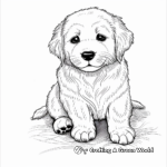 Adorable Golden Retriever Puppy Coloring Pages 2