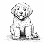 Adorable Golden Retriever Puppy Coloring Pages 4