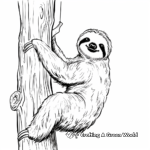 Adorable Sloth Hanging on Tree Coloring Pages 2