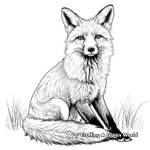 Adult Red Fox Coloring Sheets 2