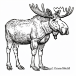 Alaska Moose Coloring Pages 2