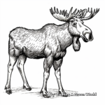 Alaska Moose Coloring Pages 3