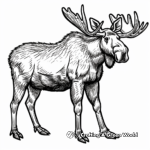 Alaska Moose Coloring Pages 4