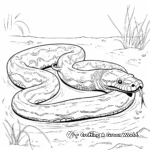 Anaconda in its Natural Habitat Coloring Pages 3