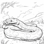 Anaconda in its Natural Habitat Coloring Pages 4
