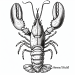 Antique Style Lobster Illustration Coloring Page 1