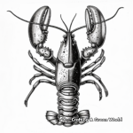 Antique Style Lobster Illustration Coloring Page 2