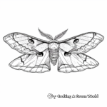 Atlas Moth: The World's Largest Moth Coloring Pages 3
