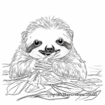 Baby Sloth Eating Leaves Coloring Pages 4