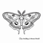 Beautiful Luna Moth Coloring Pages 4