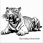 Bengal Tiger Roaring Coloring Pages 2