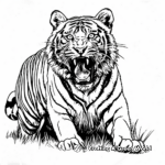 Bengal Tiger Roaring Coloring Pages 3
