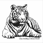 Bengal Tiger with Prey Coloring Pages 2