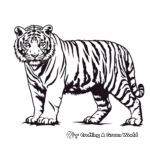 Bengal Tiger with Prey Coloring Pages 4