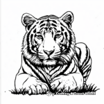 Bengal White Tiger Coloring Pages 1