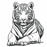Bengal White Tiger Coloring Pages 2