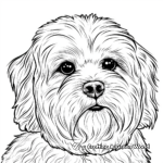 Bichon Frise Face Coloring Pages: The Fluffy Companion 3