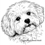 Bichon Frise Face Coloring Pages: The Fluffy Companion 4