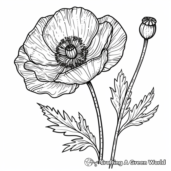 Poppy Coloring Pages - Free & Printable!
