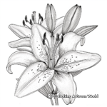 Botanical Royal Lily Adult Coloring Pages 1