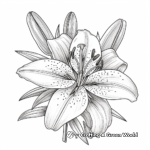 Botanical Royal Lily Adult Coloring Pages 2