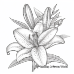 Botanical Royal Lily Adult Coloring Pages 4