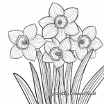 Bountiful Daffodil Coloring Pages 2