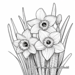 Bountiful Daffodil Coloring Pages 3
