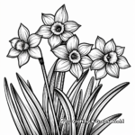 Bountiful Daffodil Coloring Pages 4