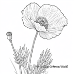 California Poppy Coloring Pages 2