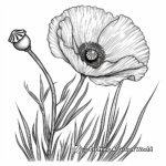 California Poppy Coloring Pages 4