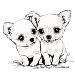 Chihuahua Puppies Coloring Pages 2