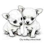 Chihuahua Puppies Coloring Pages 3